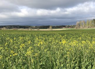 Inte självklart att få odla energi