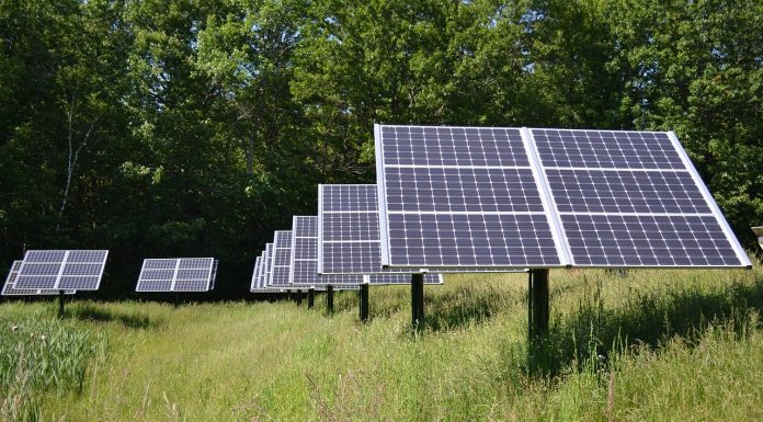 Halmstads kommun överklagar solcellspark