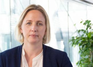 Jytte Guteland (S): Förnybar el är en nyckelfaktor