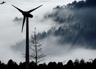 Ny statistik visar: vindkraften har störst installerad effekt