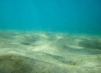 Varför vill Norge bryta mineraler från havsbotten