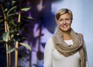 Vitell ny divisionschef på Svenska kraftnät
