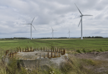 Dansk vindkraft bromsar in – branschen vill se statliga prisgarantier Dansk vindkraft bromsar in – branschen vill se statliga prisgarantier